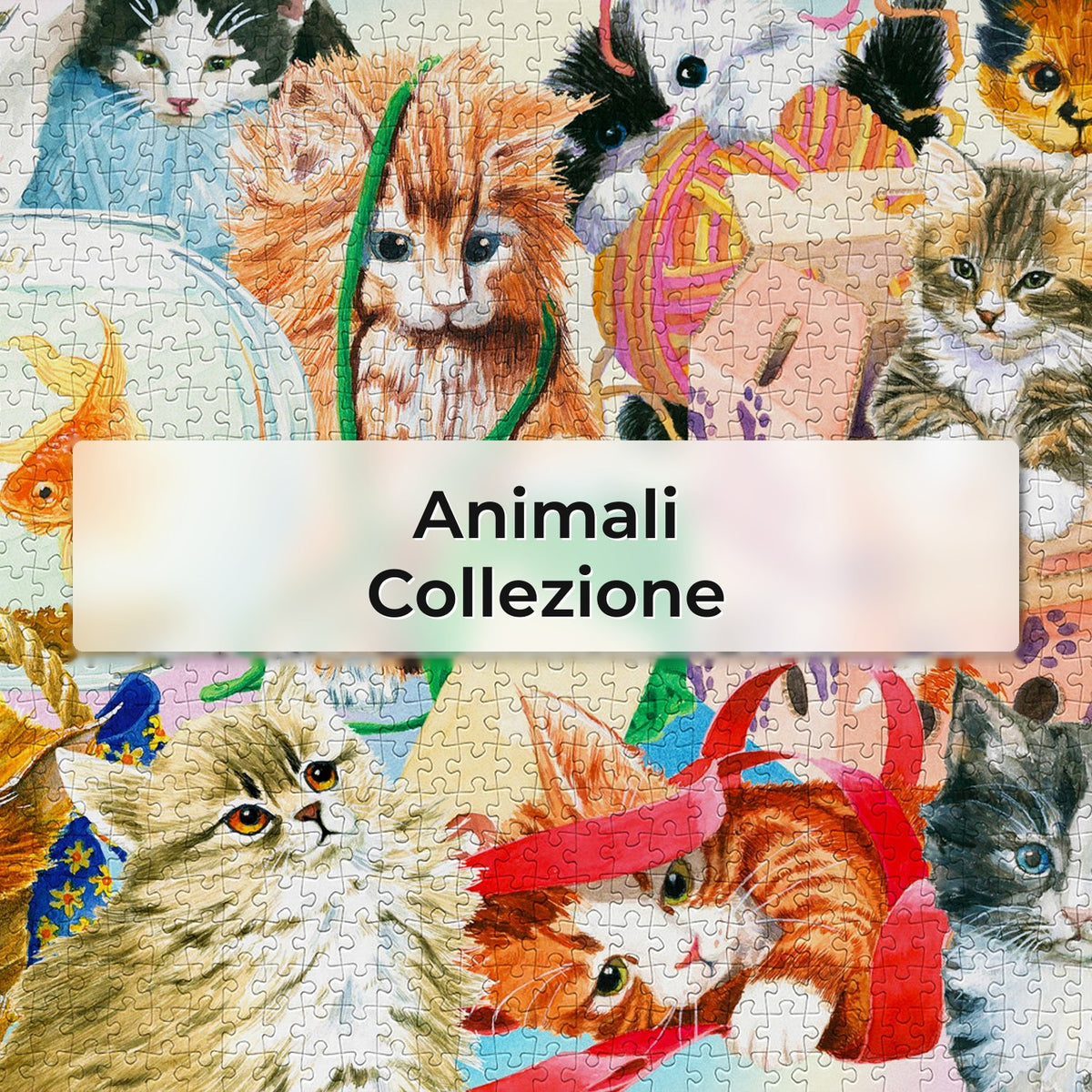 Animali - Collezione