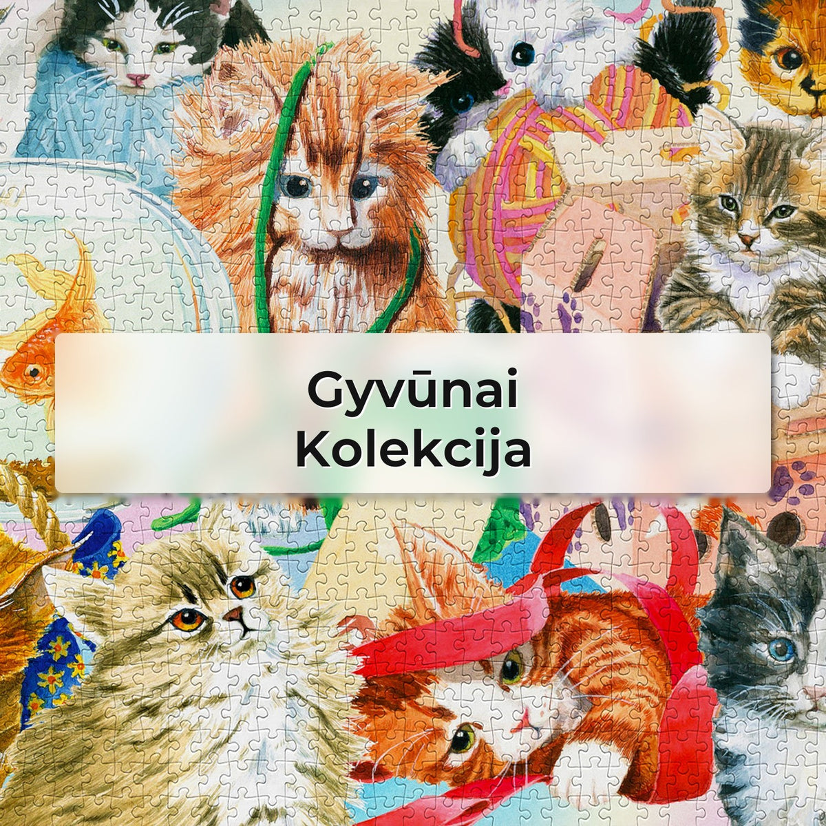 Gyvūnai - Kolekcija