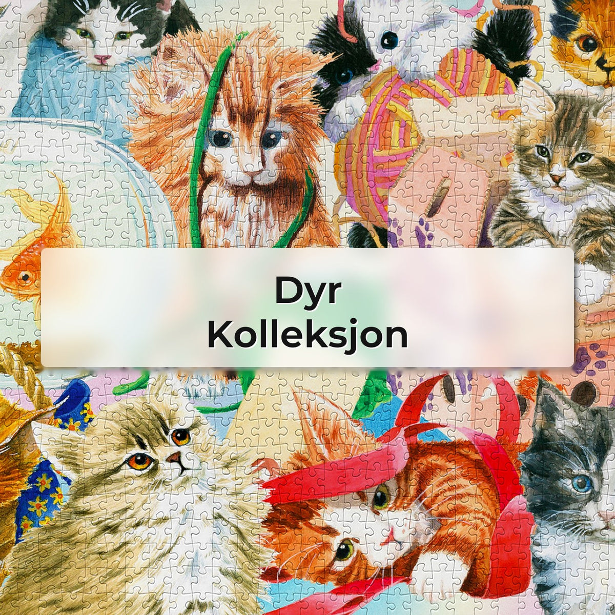 Dyr - Kolleksjon