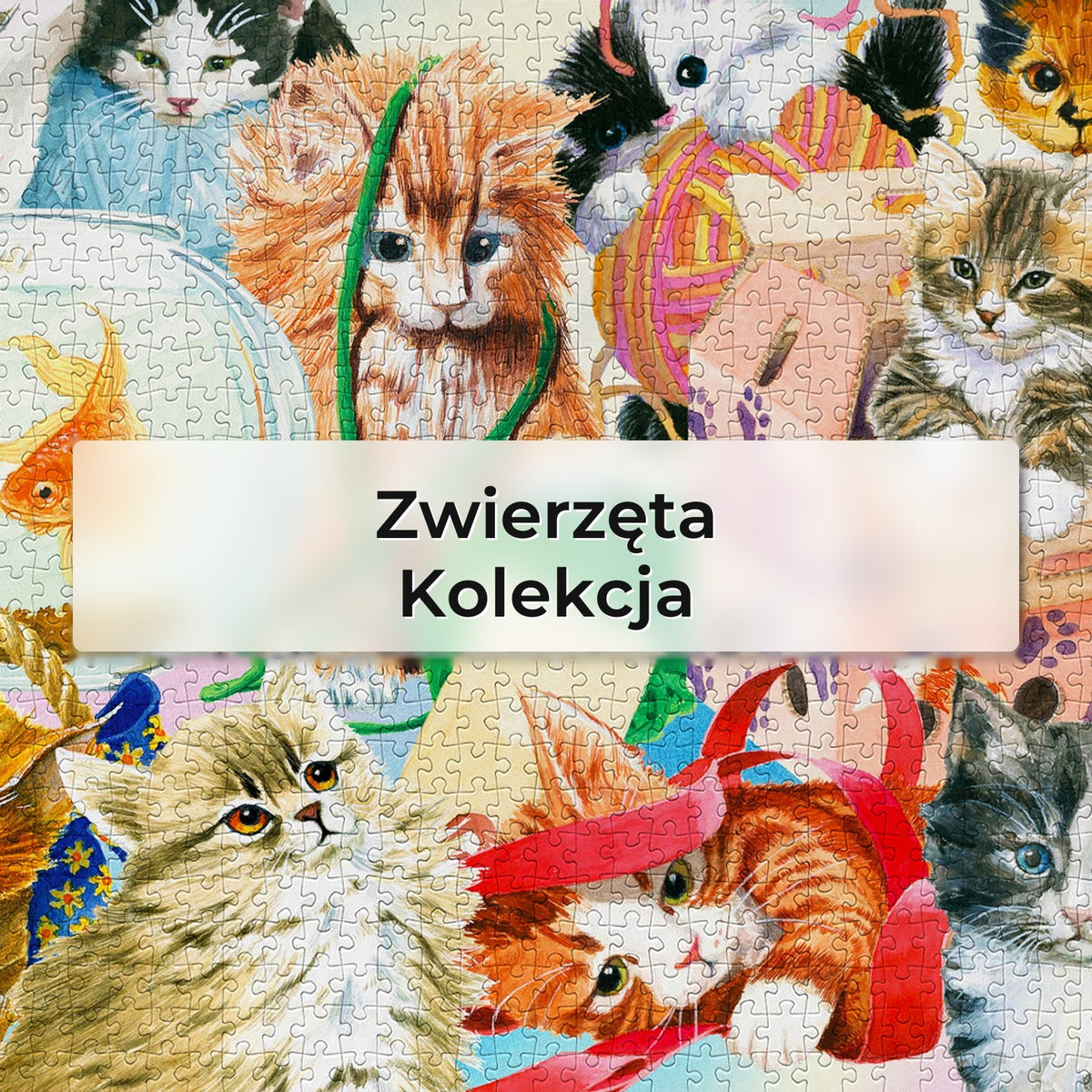 Zwierzęta - Kolekcja