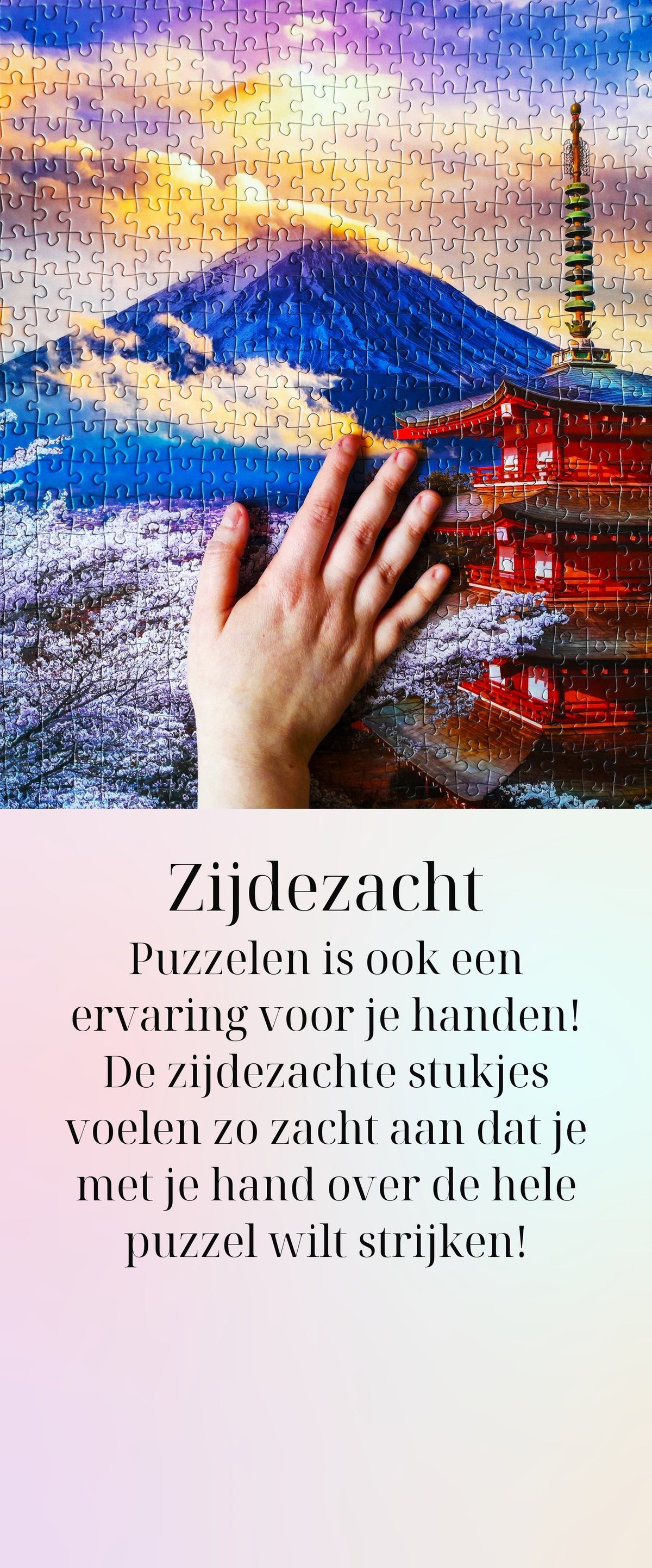 Zijdezacht