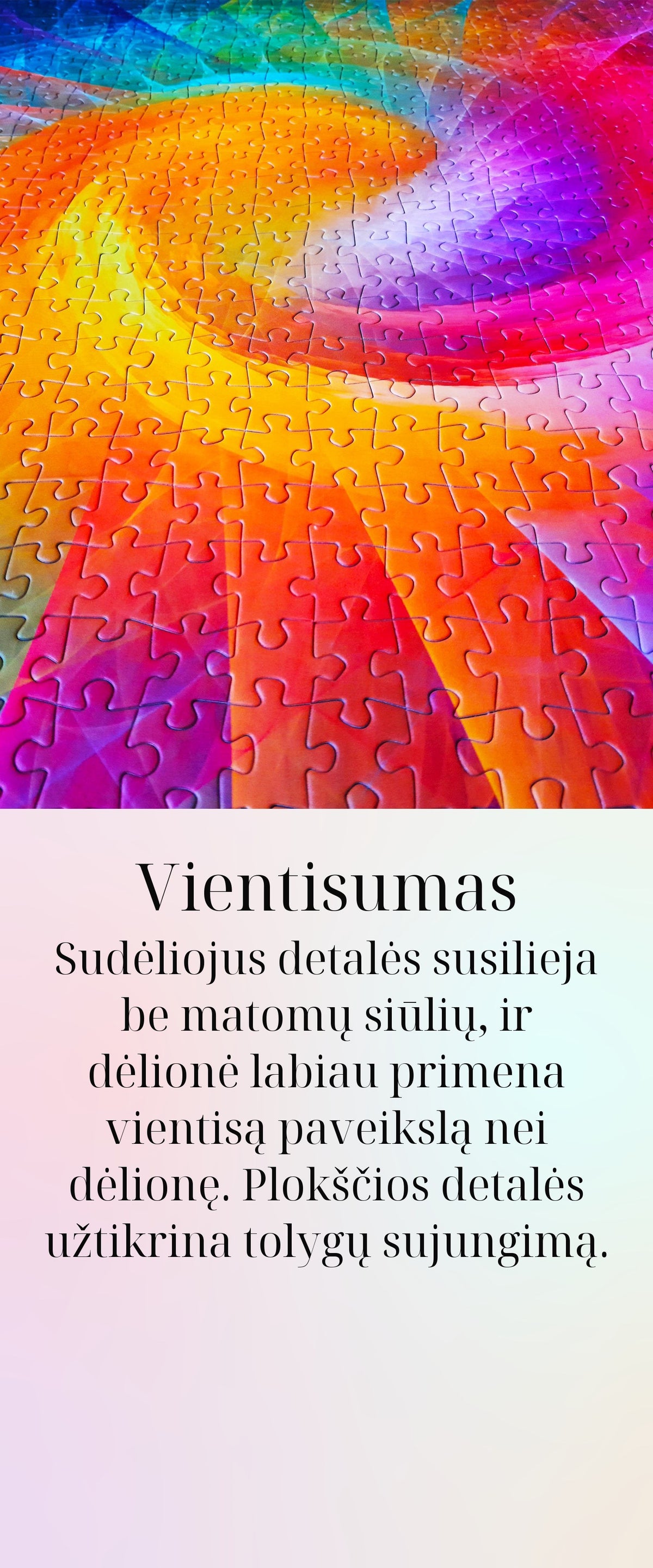 Vientisumas