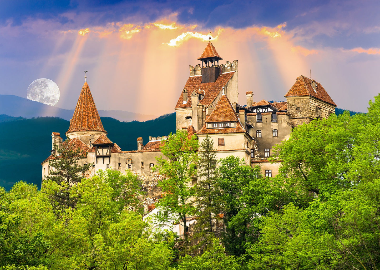 1000 Pieces Jigsaw Puzzle - Dracula's Castle (1050)