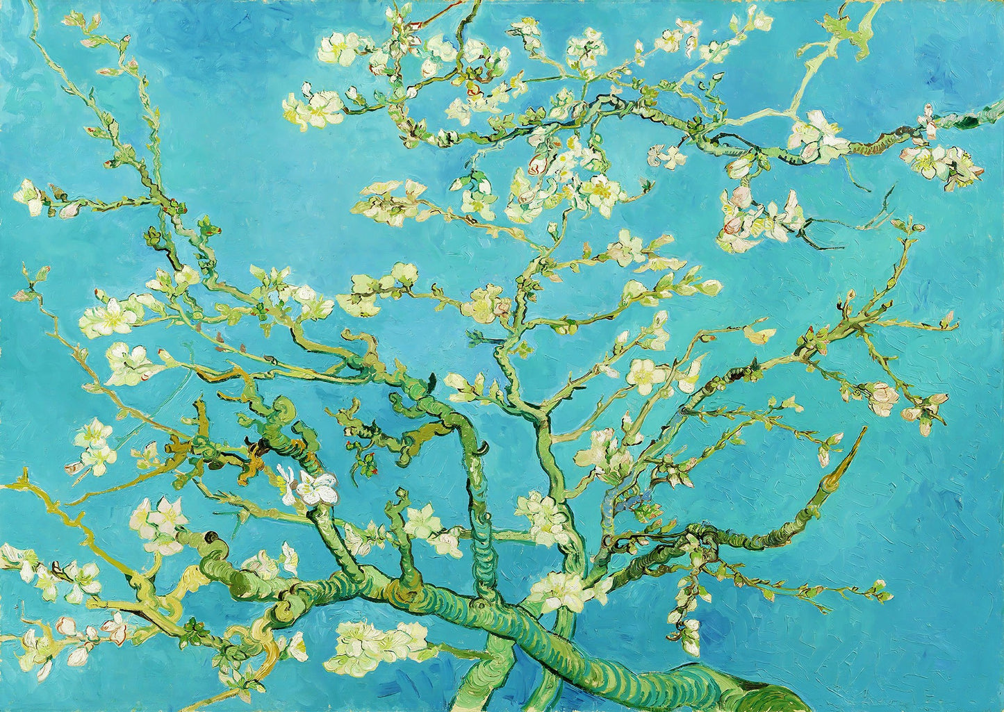1000 Pieces Jigsaw Puzzle - Vincent Van Gogh: Almond Blossom (1125)