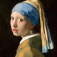 1000 Pieces Jigsaw Puzzle - Johannes Vermeer: Girl with a Pearl Earring (1164)