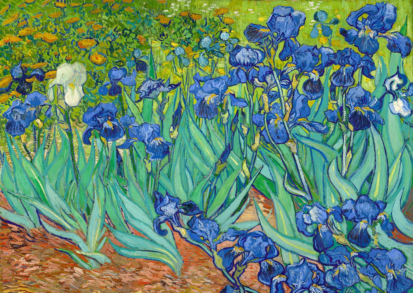 1000 Pieces Jigsaw Puzzle - Vincent Van Gogh: Irises (1185)