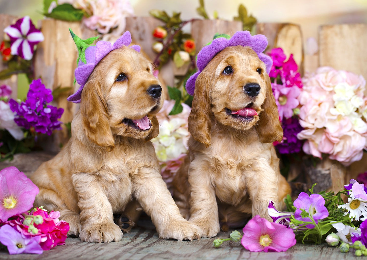 1000 Pieces Jigsaw Puzzle - Spaniel Puppies with Flower Hats (1263)