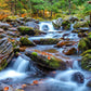 1000 Pieces Jigsaw Puzzle - Forest Stream in Autumn (1281)