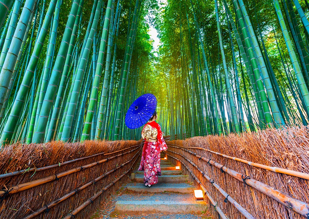 1000 Pieces Jigsaw Puzzle - Asian Woman in Bamboo Forest (1293)