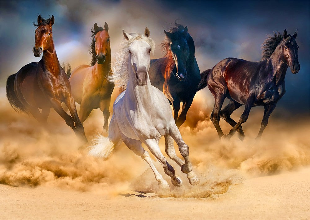 1000 Pieces Jigsaw Puzzle - Horses Running in the Desert (1356)