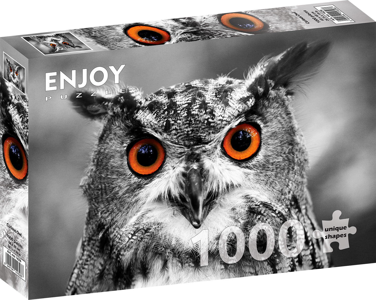 1000 Pieces Jigsaw Puzzle - Curious Owl