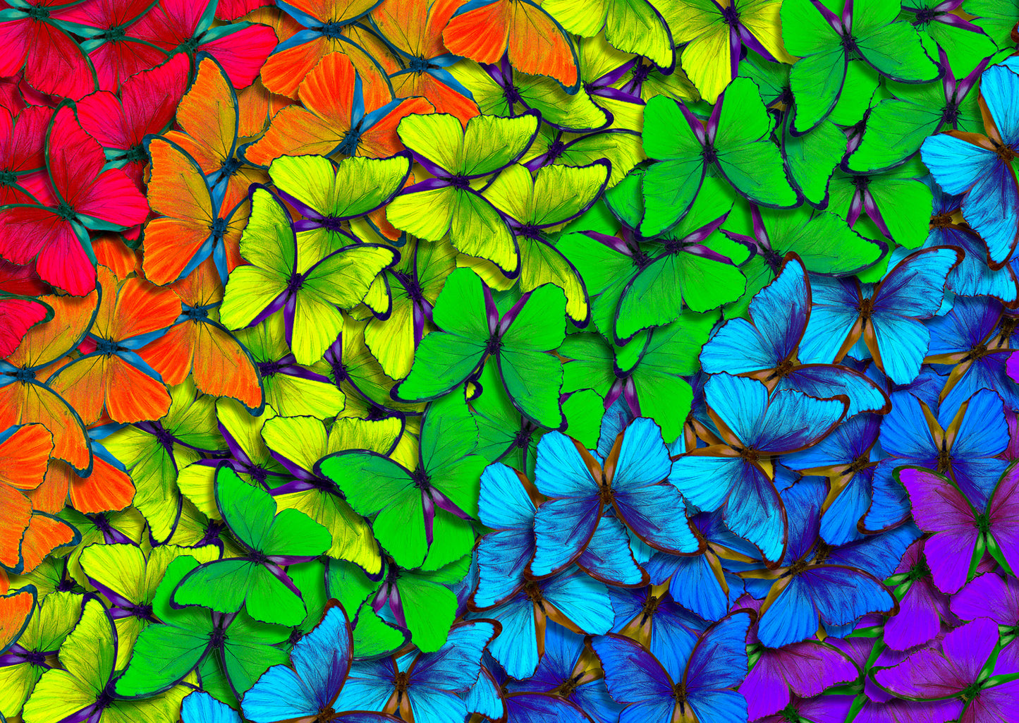 1000 Pieces Jigsaw Puzzle - Rainbow Butterflies (1961)