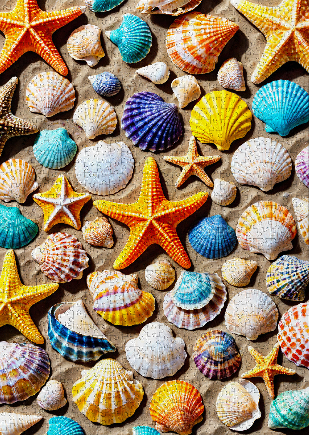 1000 Pieces Jigsaw Puzzle - Beach Treasure (2160)